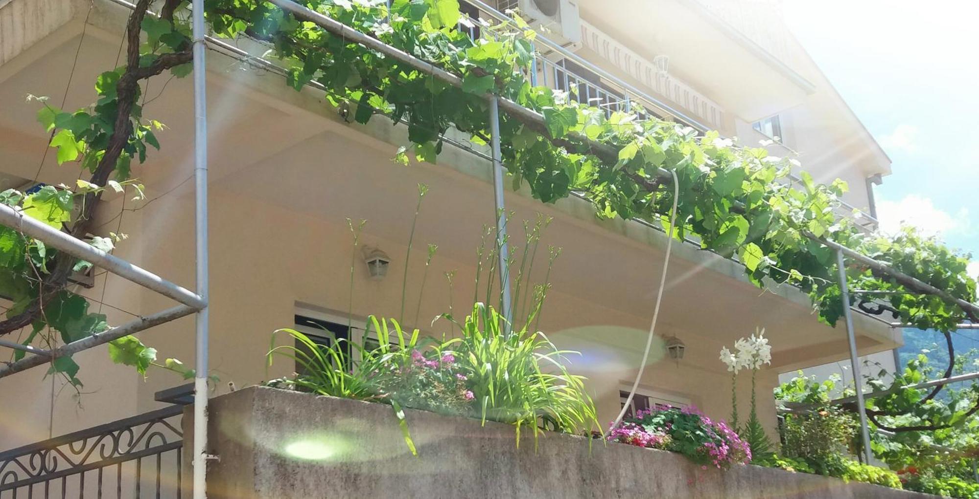 Apartments Krstos Place Κότορ Εξωτερικό φωτογραφία